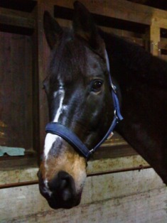 Photo de profil de jordan_v