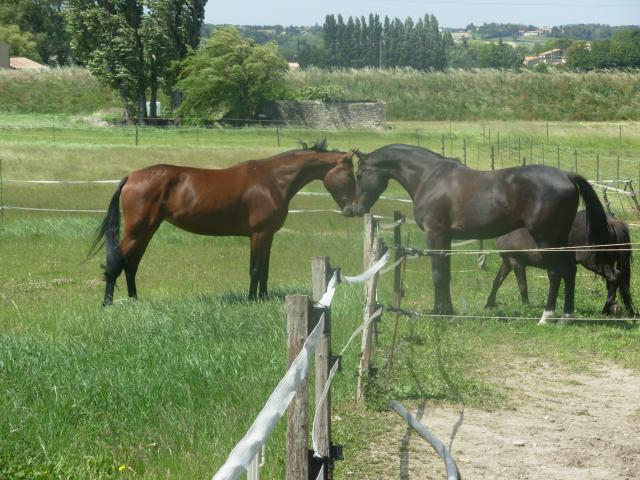Photo de profil de jujuneptune