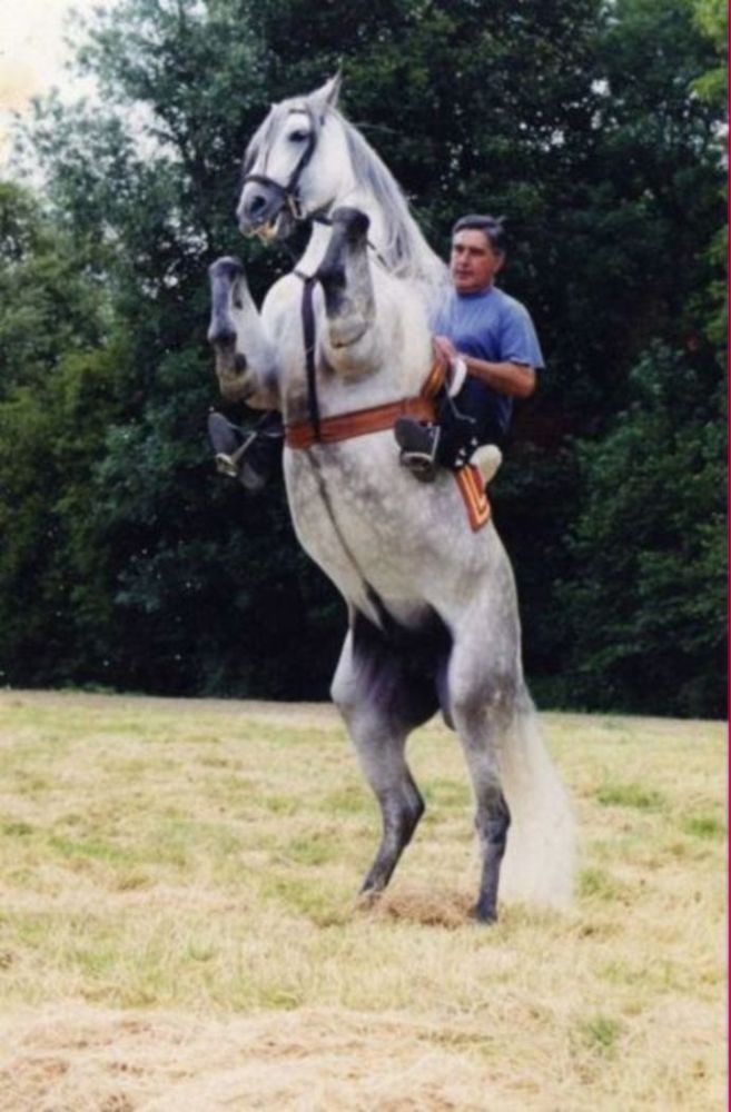 Photo de profil de juncal1