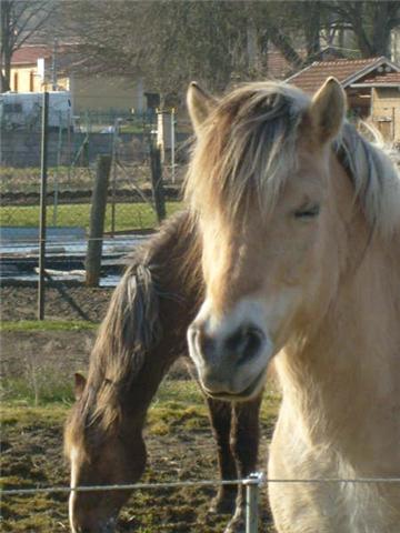 Photo de profil de k-mel