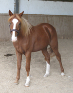 Photo de profil de kelly192