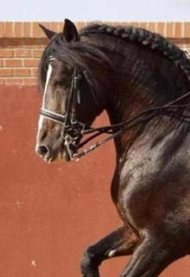 Photo de profil de kikifbouricot