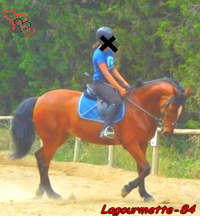 Photo de profil de lagourmette-84