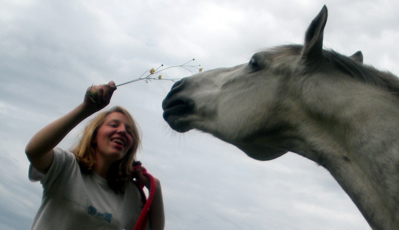 Photo de profil de laurene24