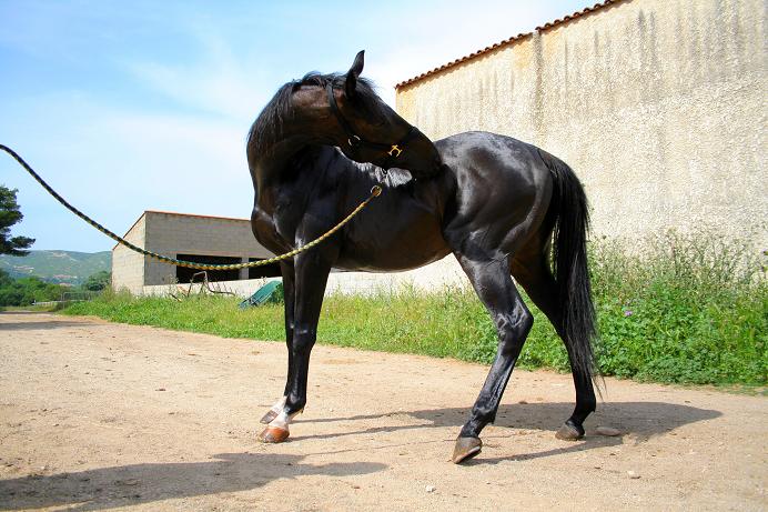 Photo de profil de laurine