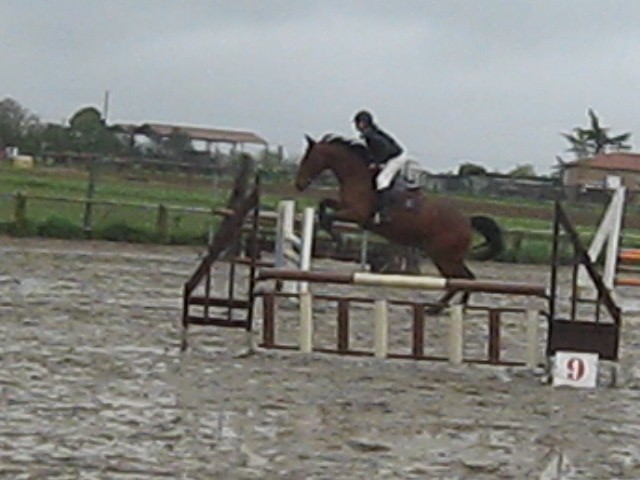 Photo de profil de lesdelprat2