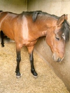 Photo de profil de lespoonsjuniors