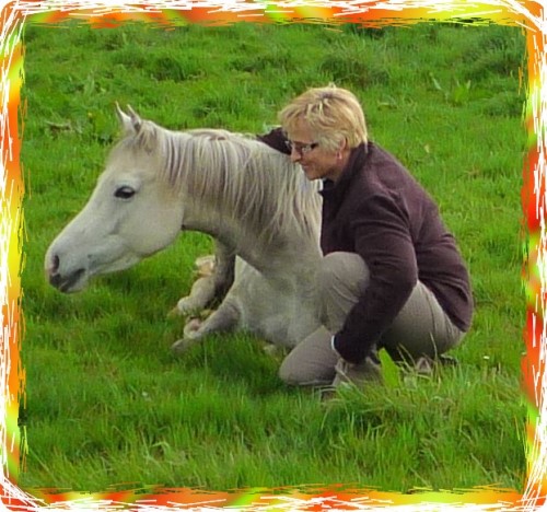 Photo de profil de lhylouh