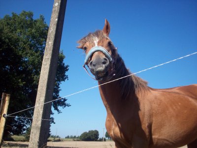 Photo de profil de lolitajumper