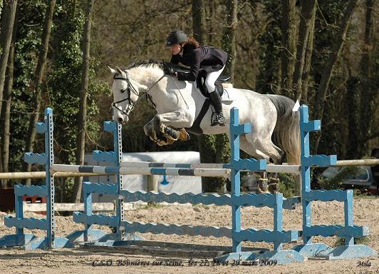 Photo de profil de loriot