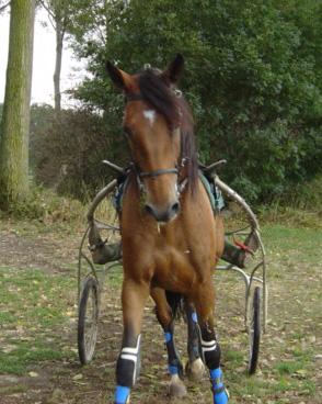Photo de profil de loulou14