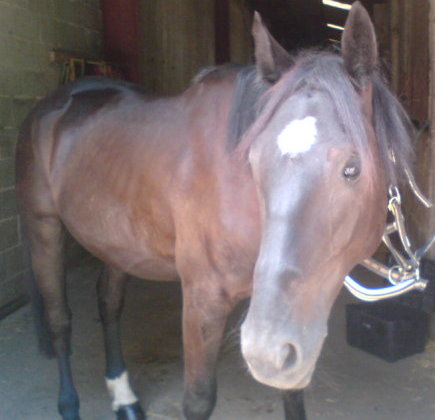 Photo de profil de loulou68