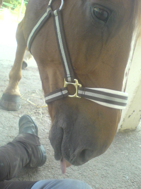 Photo de profil de m-aliika