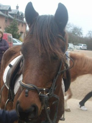 Photo de profil de ma-brioche