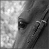 Photo de profil de mademoiz.elle