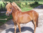 Photo de profil de malafretaz