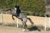 Photo de profil de mallaury41
