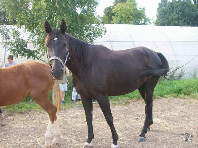 Photo de profil de megs576