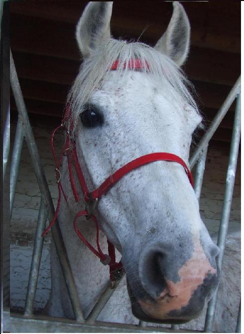 Photo de profil de melanie59