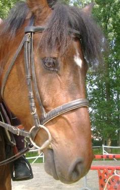 Photo de profil de melle-rooo