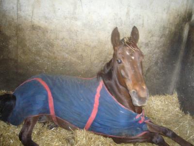 Photo de profil de midnight7534