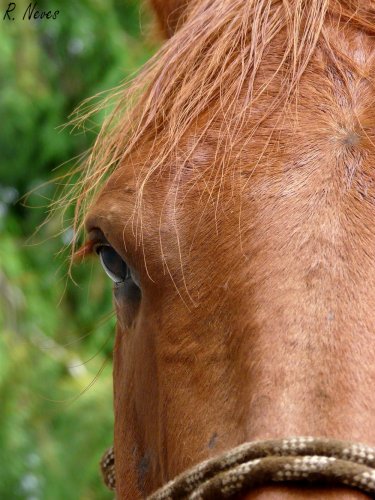 Photo de profil de milton2000