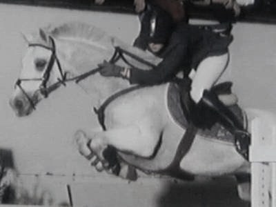 Photo de profil de misericorde