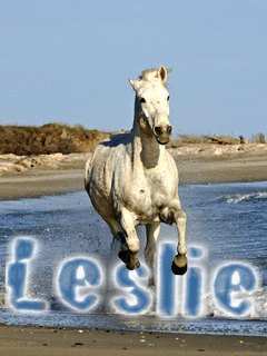 Photo de profil de mlle-lesya