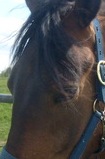 Photo de profil de monshaky