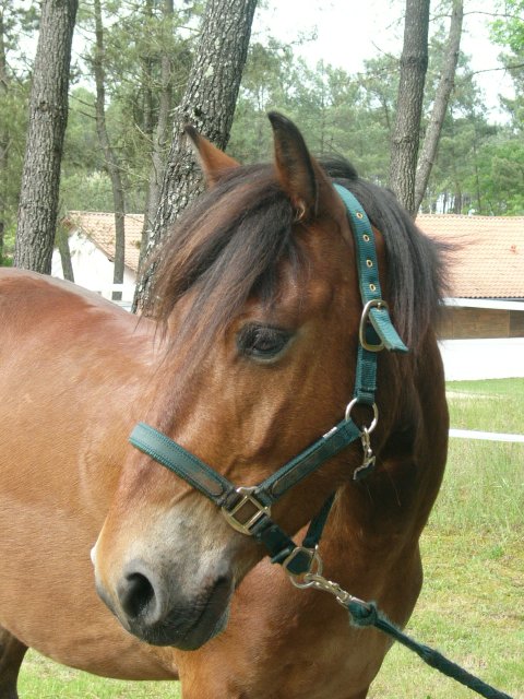 Photo de profil de morgane40430