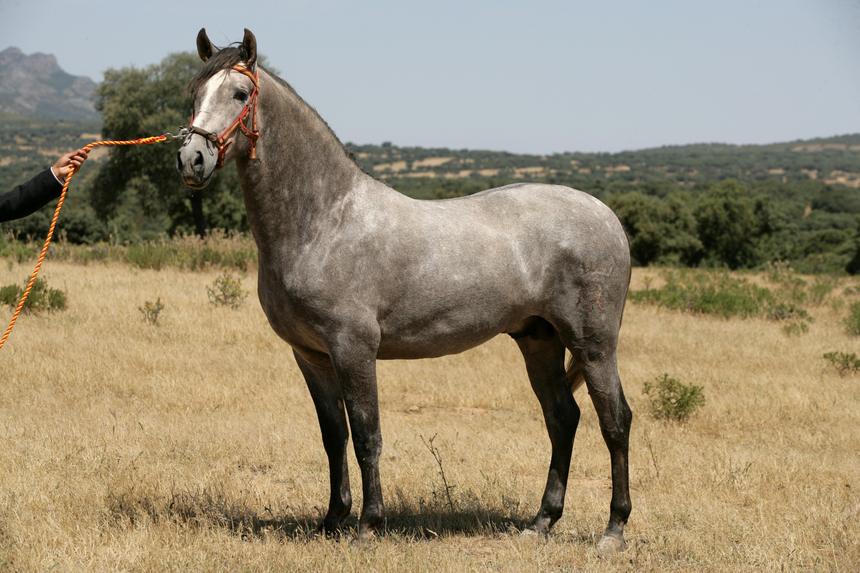 Photo de profil de nanou-phiphou