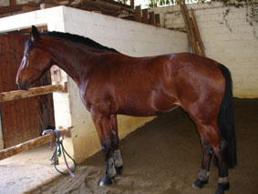 Photo de profil de nanounanounanou