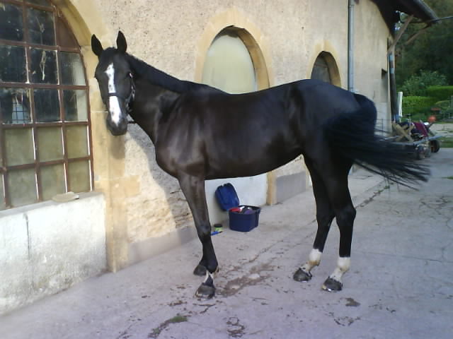 Photo de profil de naomy