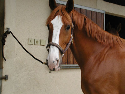 Photo de profil de niddordaviere