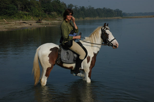 Photo de profil de nirvanahorses