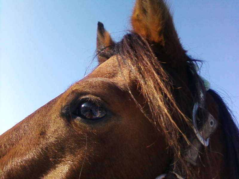 Photo de profil de opaline60