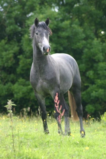 Photo de profil de palmyre
