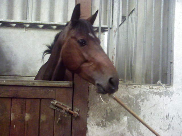 Photo de profil de panou41