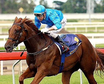 Photo de profil de paprik-aaa