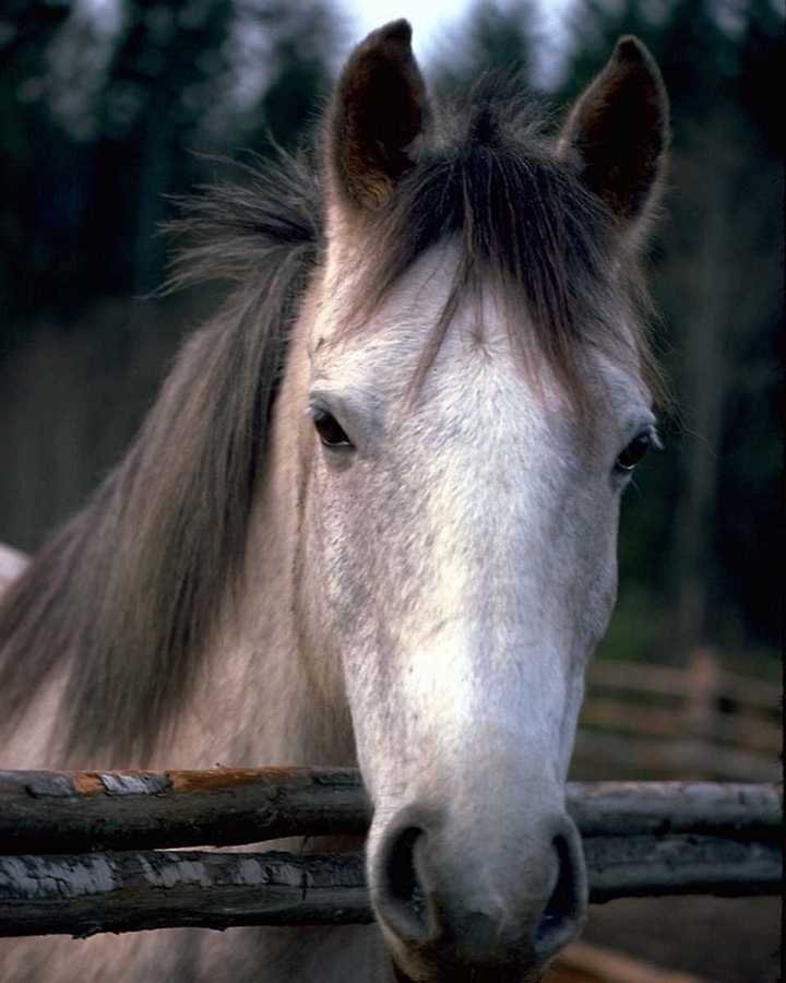 Photo de profil de paradiise