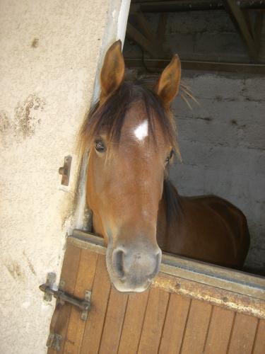 Photo de profil de pricette