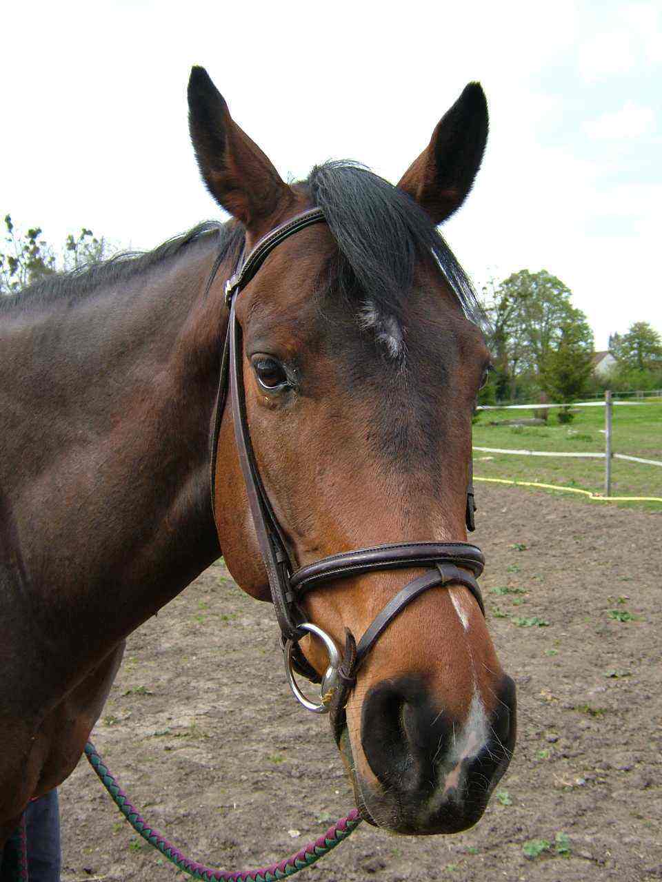 Photo de profil de qualisou