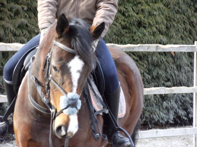 Photo de profil de queenslida