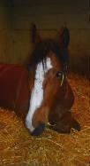 Photo de profil de quicky-jtm