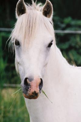 Photo de profil de quimm03