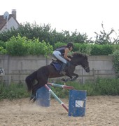 Photo de profil de roseedoree