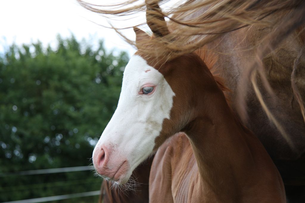 Photo de profil de roumy