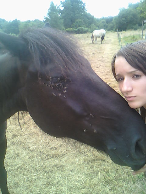 Photo de profil de sandradu19