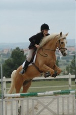 Photo de profil de sandyvil