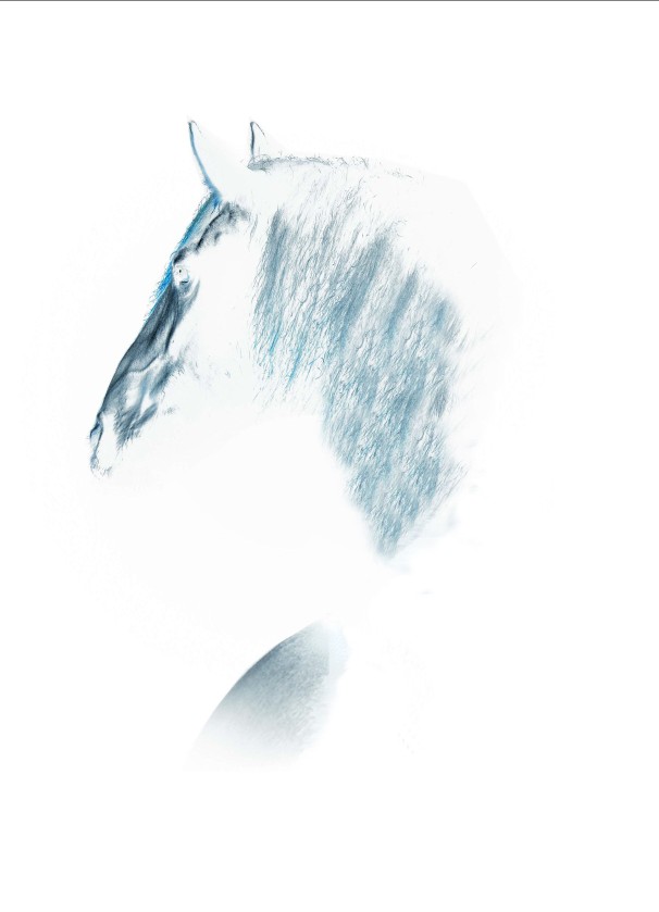 Photo de profil de saphyr56